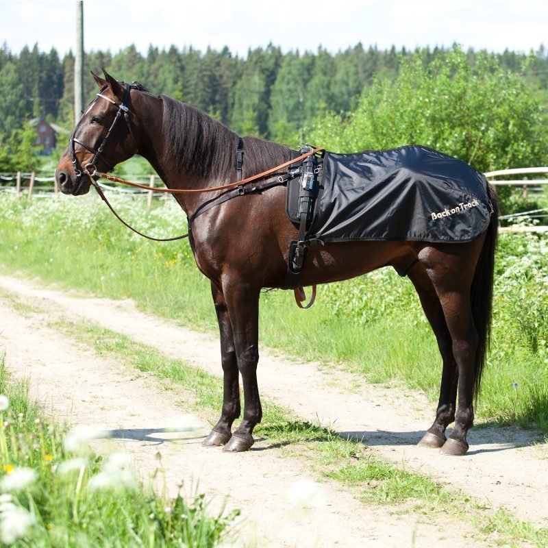 Back on Track Treeniloimi ravihevoselle Ruotsalainen malli