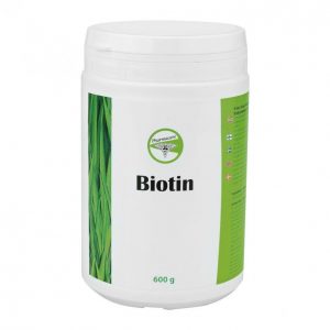 Biotiini 600g