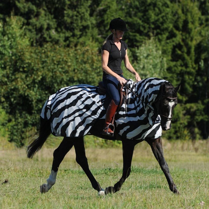Buzz-Off Zebra ratsastusloimi