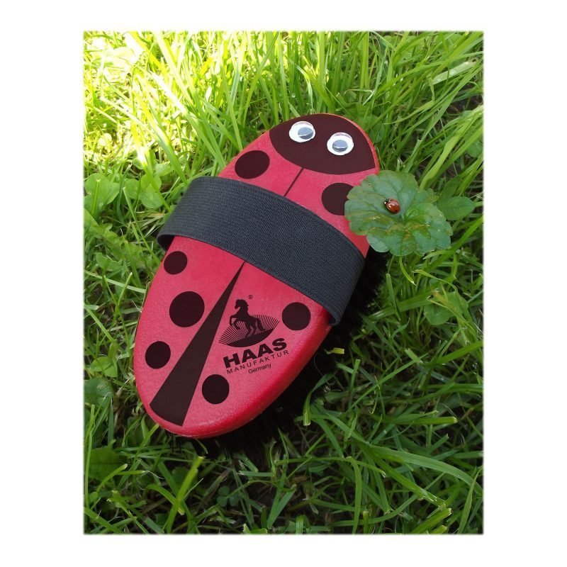 Haas Ladybug lasten harja