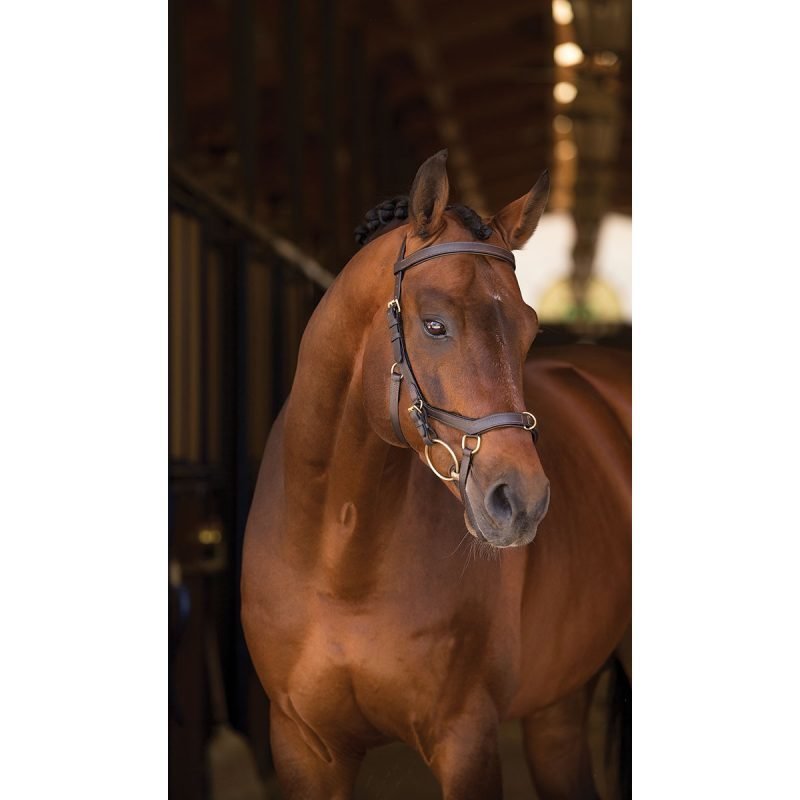 Horseware Rambo Micklem Multi suitset