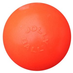 Jolly Ball Bounce-n Play 11cm