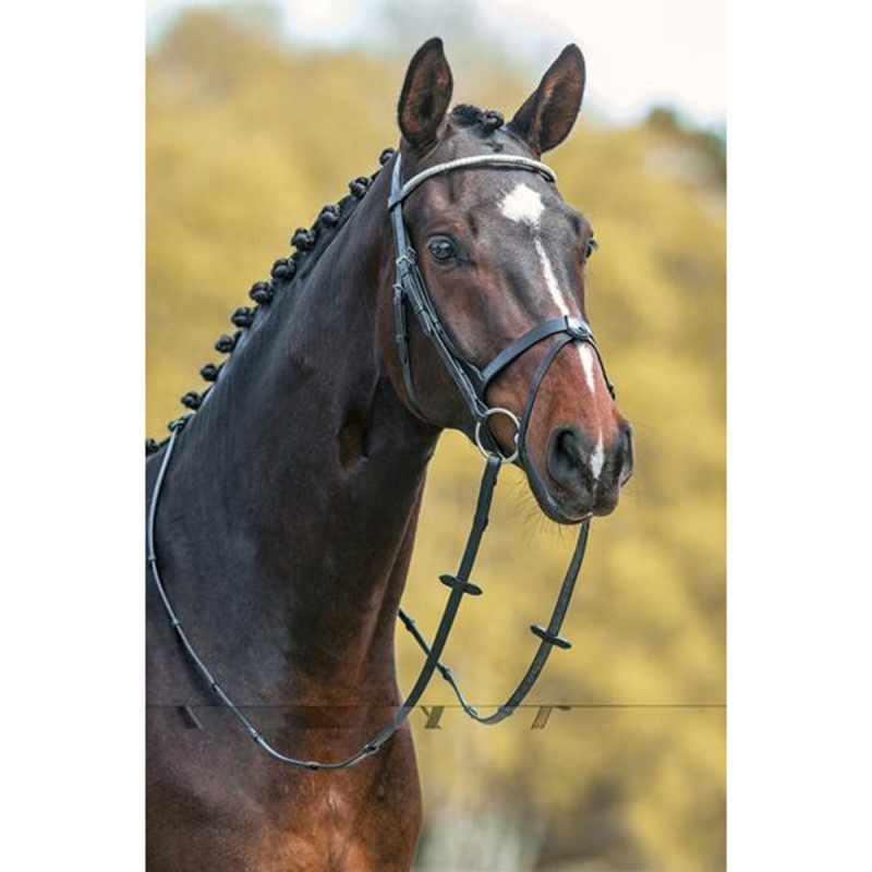 Mountain Horse Gladstone bridle