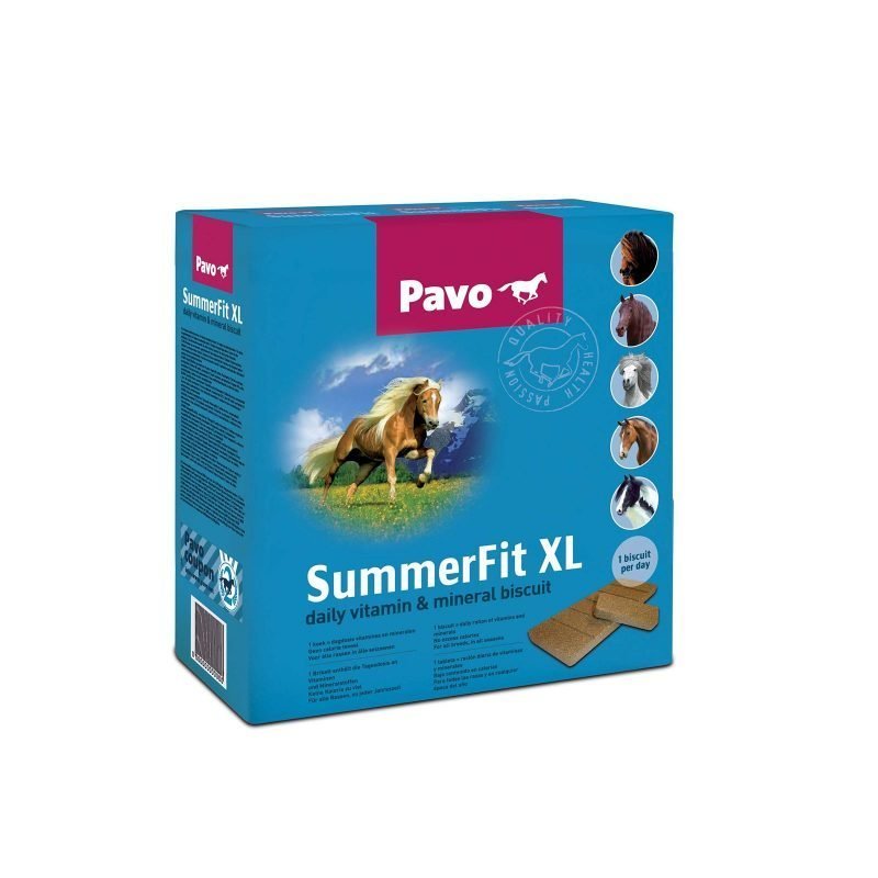 Pavo SummerFit XL (90 brickets)
