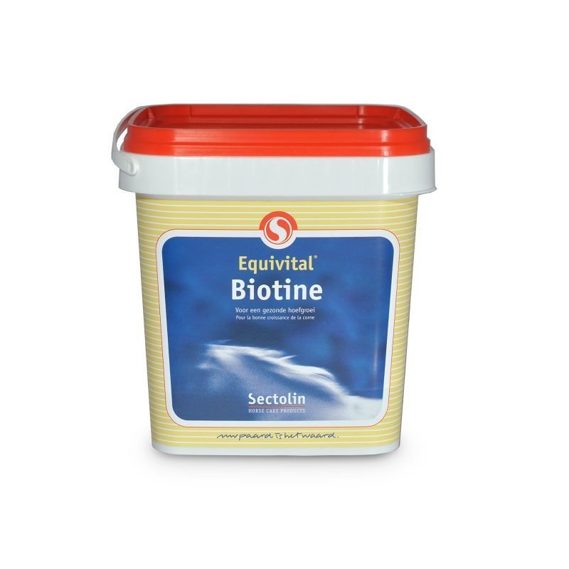 Sectolin Biotiini 1 kg